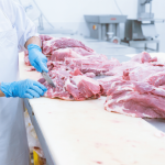 Canadian Government Funding for Food and Meat Processors